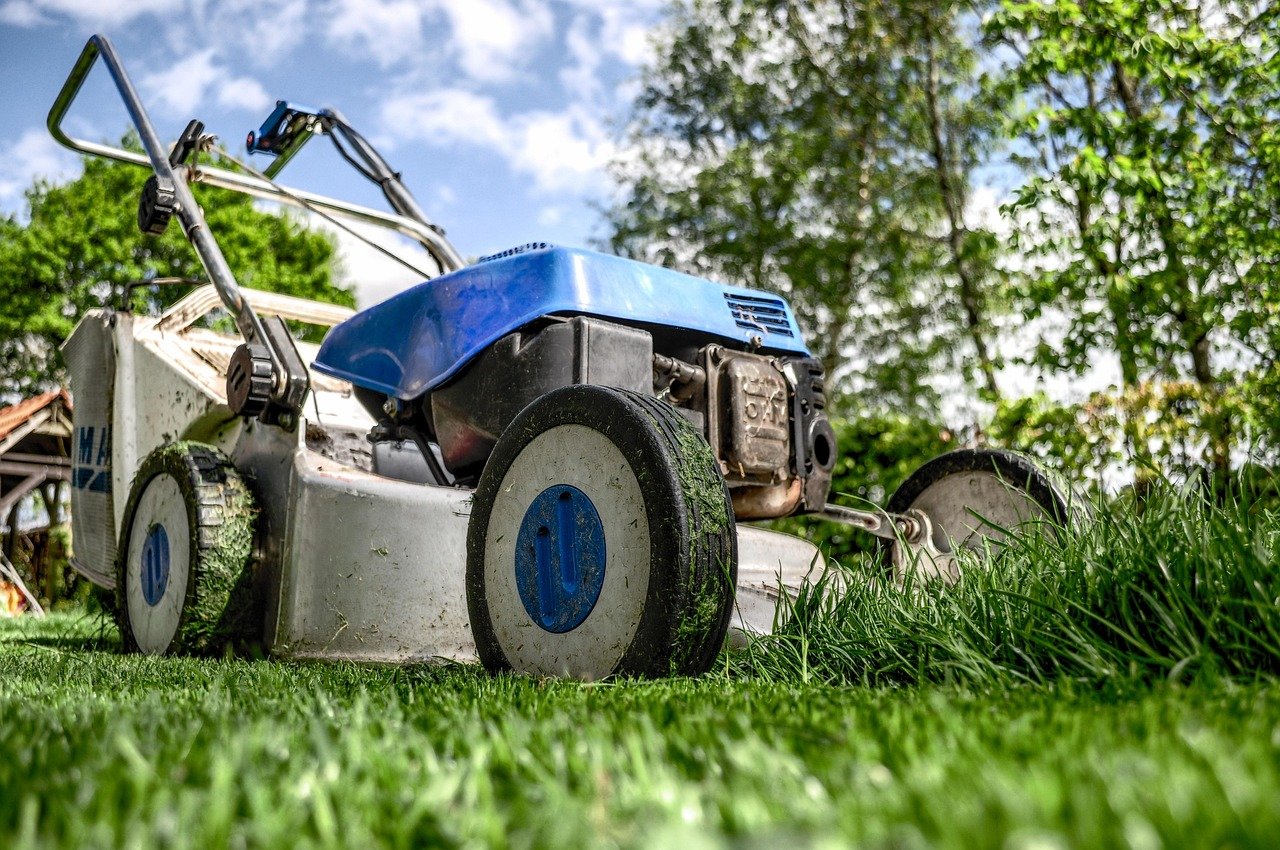 lawn mower, grass, garden, front yard, gardening, lawn-mower chassis, lawn, cutting, gardener, equipment, machine, backyard, mower, maintenance, yard, lawn mower, lawn mower, lawn mower, garden, garden, garden, garden, gardening, gardening, gardening, gardening, gardening, nature, lawn, lawn, lawn, gardener
